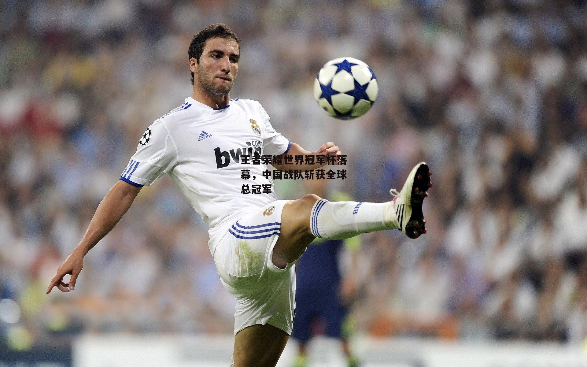 王者荣耀世界冠军杯落幕，中国战队斩获全球总冠军