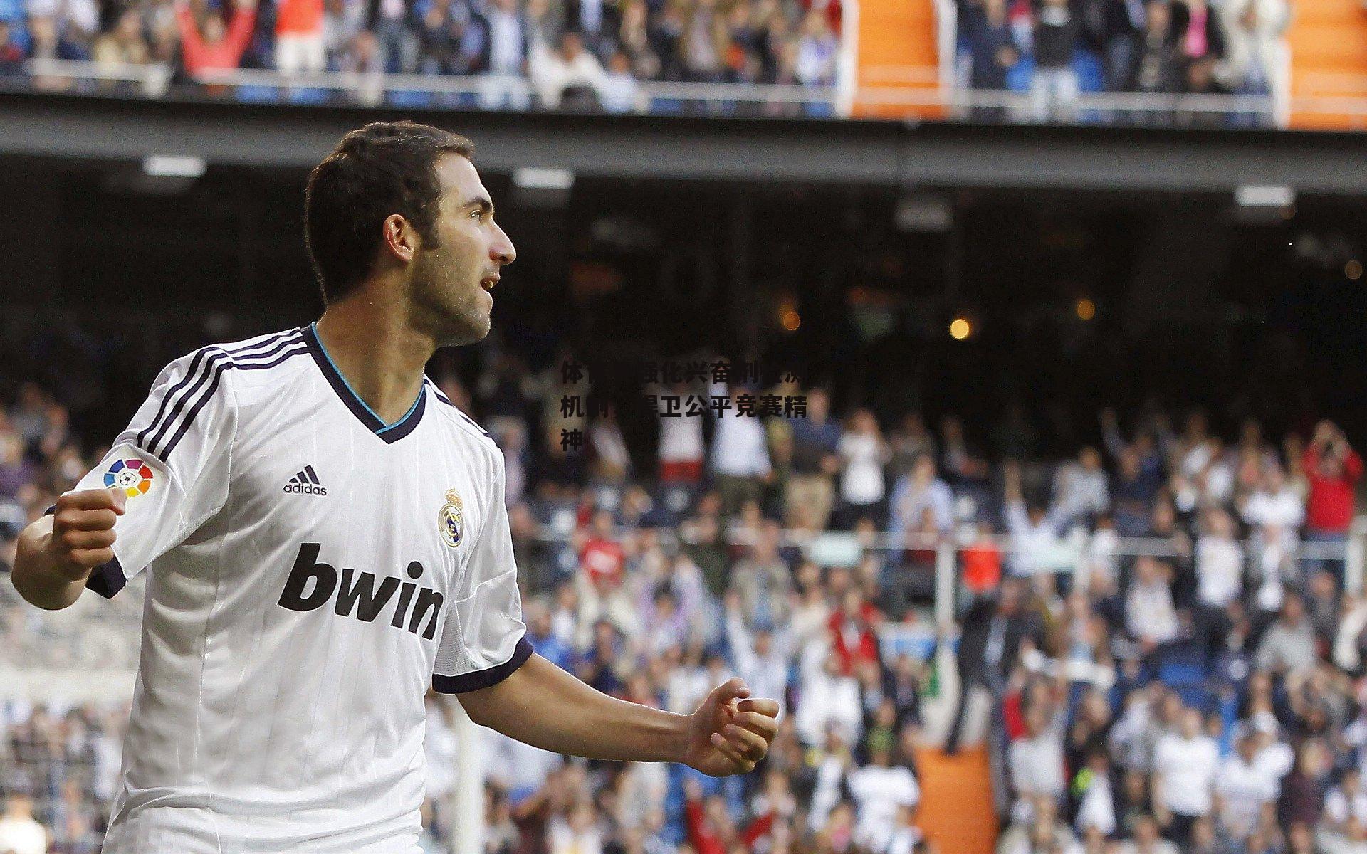 体育界强化兴奋剂检测机制,捍卫公平竞赛精神